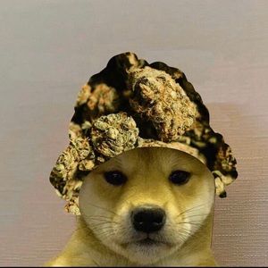 Meet your Posher, Leonard